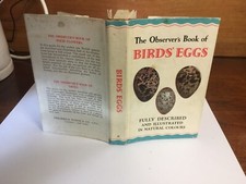 observers book of birds eggs