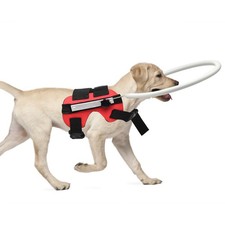 Blind dog harness vest red - blind,