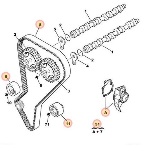 Cambelt and water pump kit - cambelt,