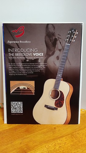 Breedlove guitars voice 2012 - breedlove,