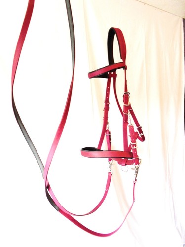 Endurance bridle genuine - bridle,