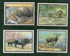 Selection of Chinese cigarette