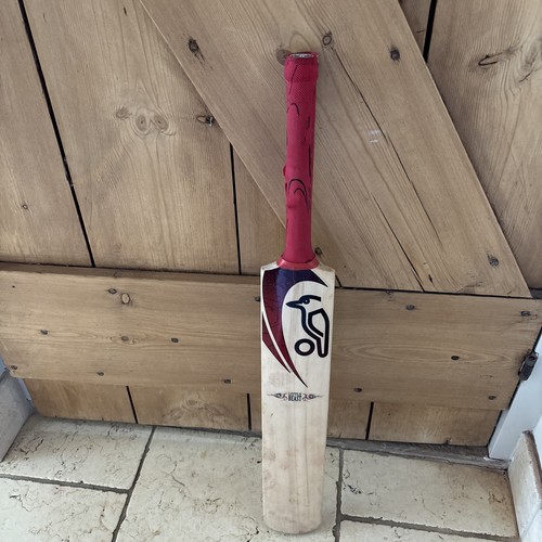 Kookaburra angry beast - ,