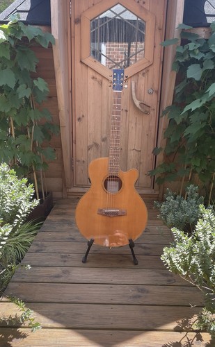 Tanglewood trsf acoustic - tanglewood,