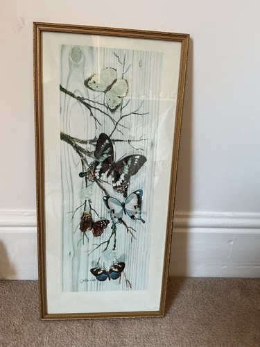 Vintage butterfly framed print - vintage,