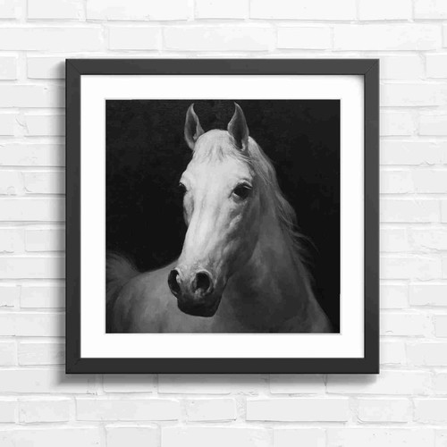 Dramatic white horse head - horse,