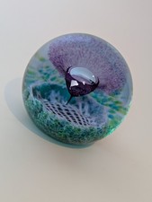 Caithness Glass Paperweight