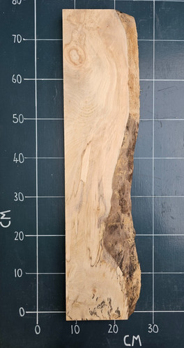 Kiln dried planed sycamore - dried,