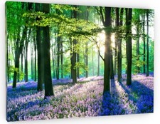 BLUEBELL CANVAS PICTURE PRINT FRAMED WALL ART 20" x 30" Inch