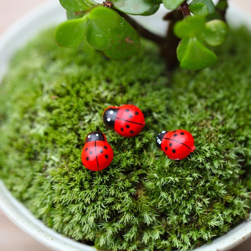100 pcs miniature garden - 100,