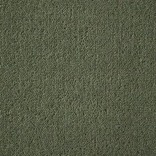 £6 PER M2 WESTEX Westex Ultima Twist Penultima Bayleaf 4m x 3.2m CARPET CHEAP