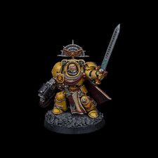 Well Painted Space Marine
