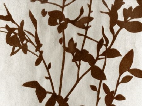 Wilman interiors velvet - interiors,