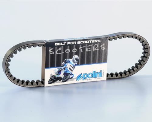 Variator belt polini for - belt,