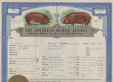 1919 Certificate American