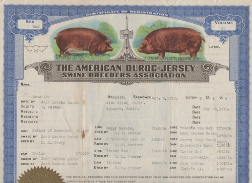 1919 certificate american - 1919,