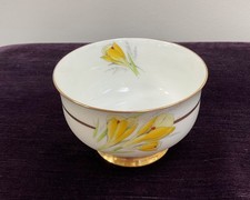 Royal Paragon Bone China