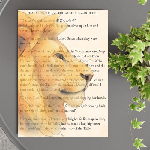Aslan narnia inspired - aslan,