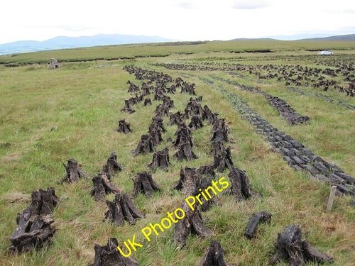 Photo 6x4 turf cutting - turf,