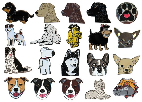 Dachshund jack russell french - dachshund,