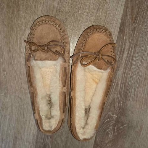 Ugg dakota chestnut suede - dakota,