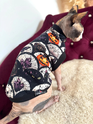 Cotton sphynx cat shirt - sphynx,