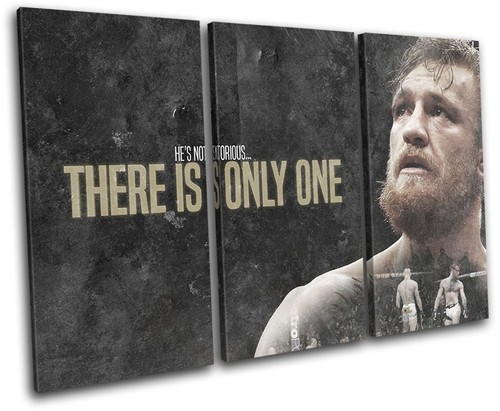Conor mcgregor ufc mma - ufc,