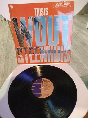 This wout steenhuis vinyl - this,
