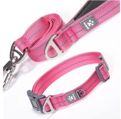 Dog collar and - set,, with