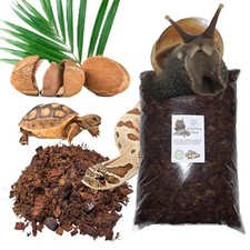 Bugznbits Tropical Vivarium