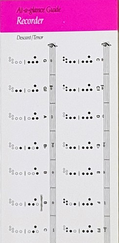 Glance guide recorder - guide,