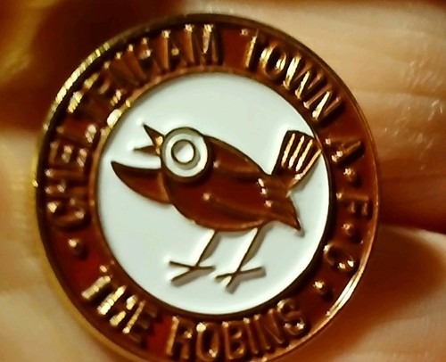 Vintage cheltenham pin - cheltenham,