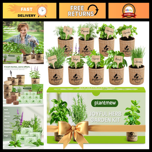 Indoor herb garden - herb, kit