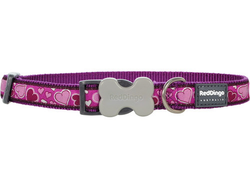 Red dingo patterned dog - dingo,