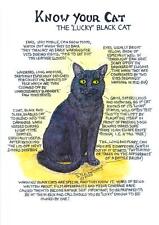 Black Cat Tea Towel - Lucky Black Cat Tea Towel - Black Cats - Witches Cat