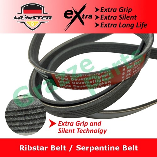 Münster rib ribstar - ribstar, fan