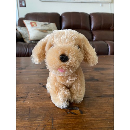 Chelsea teddy bear - co, puppy