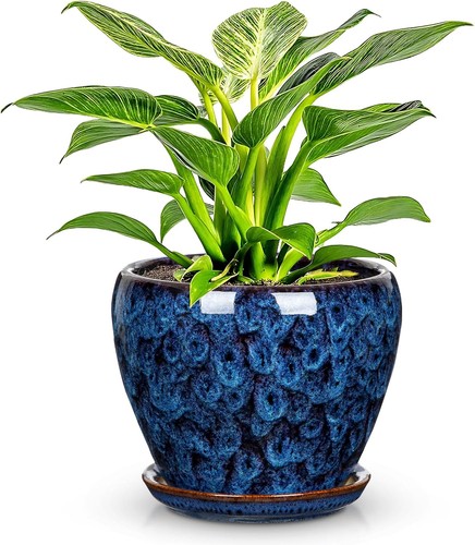 Ceramic plant pot with saucer - pot,