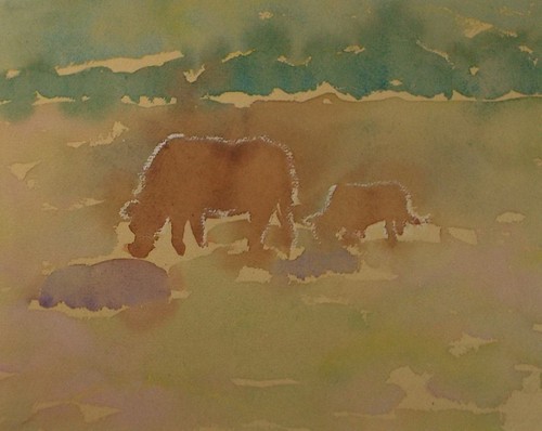 Original watercolour cattle - watercolour,, 'cattle