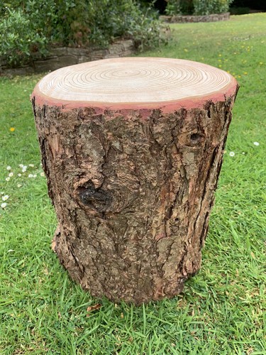 Rustic wooden log stool with