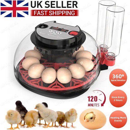 Digital egg incubator - digital,