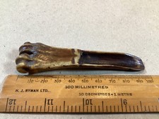ANTIQUE SMALL BONE APPLE