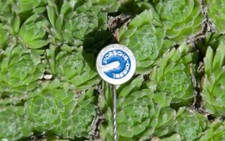 VINTAGE TRACTOR PIN / BUTTON #