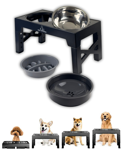Raised dog bowls with slow - raised,