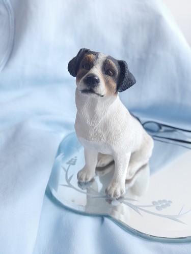 Jack russell dog leonardo - jack,