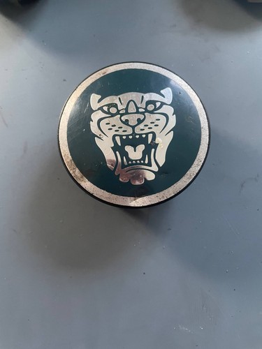 Jaguar alloy wheel centre cap - wheel,