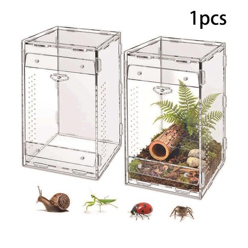 Reptile terrarium acrylic - terrarium,