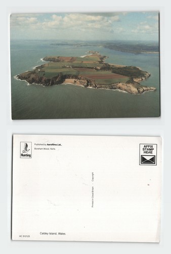 Vintage postcard caldey - postcard,