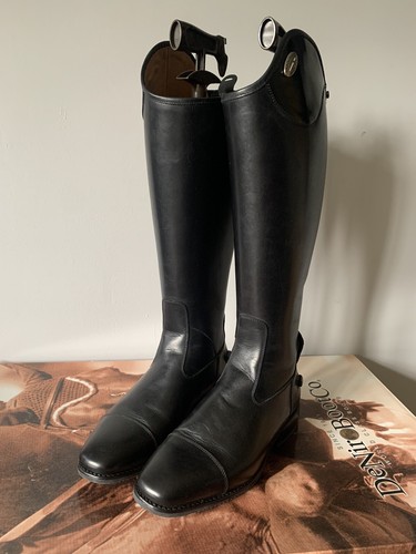 Deniro tall riding dressage - deniro,
