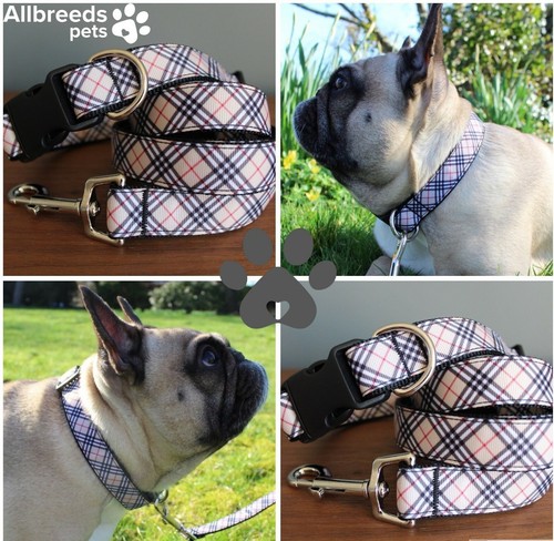 Allbreeds beige tartan dog - allbreeds,